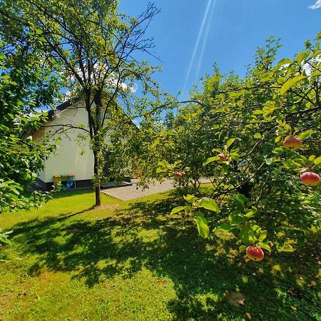 Tetmajera View & Garden Villa Dębica Kültér fotó