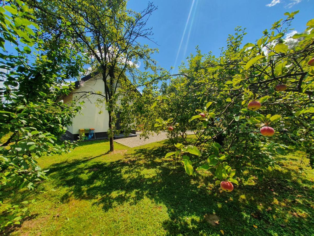 Tetmajera View & Garden Villa Dębica Kültér fotó