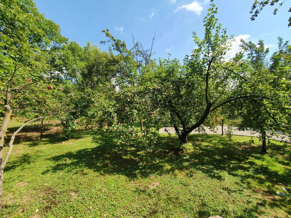Tetmajera View & Garden Villa Dębica Kültér fotó